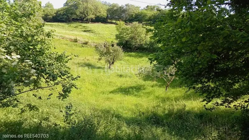 Foto ed80459f-f0b8-4eb6-9155-9664cfb98711. Terreny residencial a Peñamellera Baja