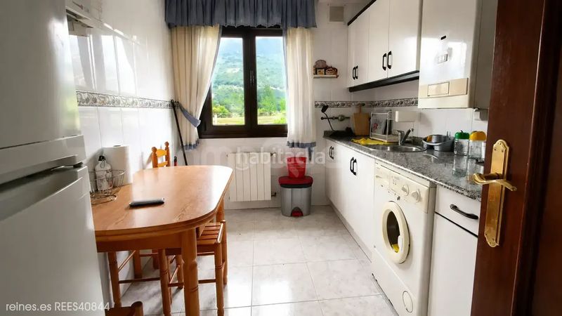 Foto 4a33d847-d1f7-482d-9eb6-1e465d2ba13b. Piso venta de piso rees40844 en Peñamellera Baja
