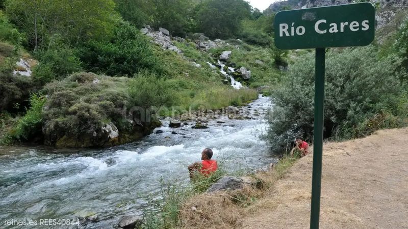 Foto 4cabf773-e7fd-415f-8908-222a8699a353. Piso venta de piso rees40844 en Peñamellera Baja