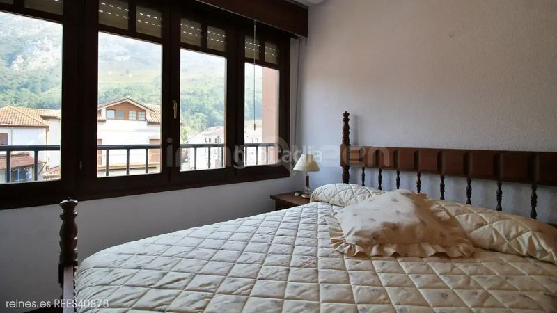 Foto e6354fd6-a8a6-4e54-98d9-a287a55e519e. Piso venta de piso rees40878 en Rionansa