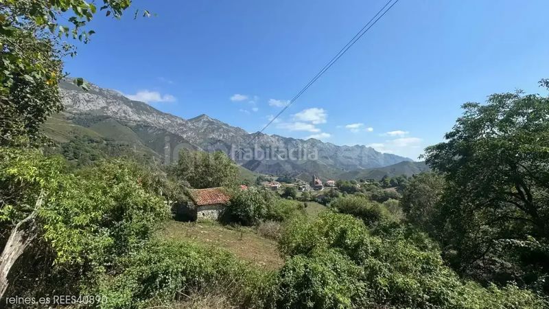 Foto 80927345-7415-43ca-8aa9-04aab7a087c4. Casa venta de casa rees40890 en Peñamellera Alta