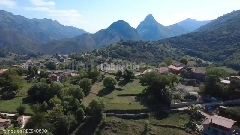 Foto fca76d1d-0f60-43f7-95ba-991854cc8a48. Casa venta de casa rees40890 en Peñamellera Alta