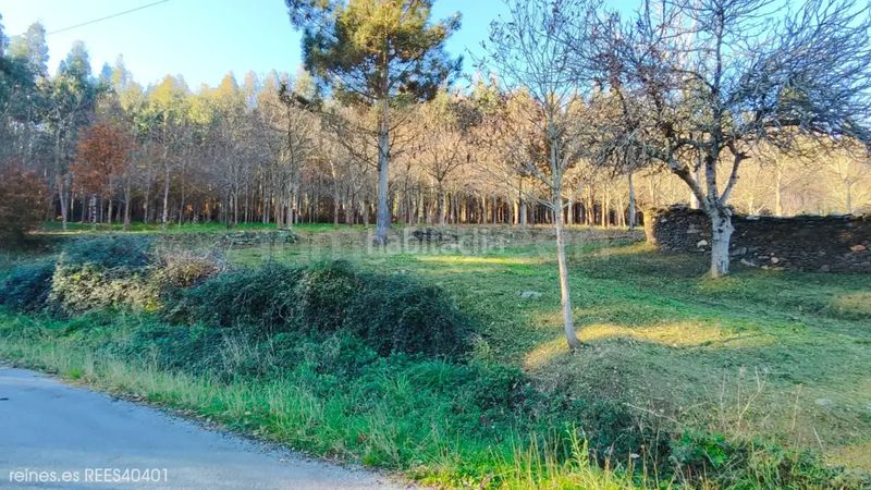Foto 002b980b-ab68-49bf-b3e5-f490767acdc8. Terreny residencial a Pontenova (A)