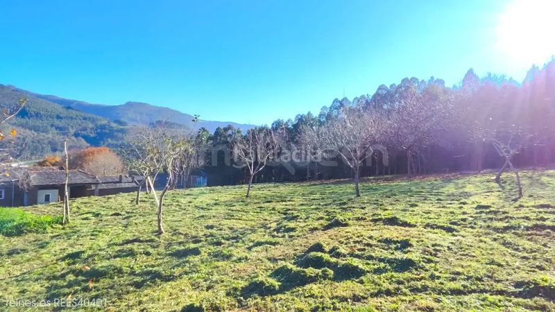 Foto ba9a68ea-0008-4a1a-89f1-d51ed8d474df. Terreny residencial a Pontenova (A)
