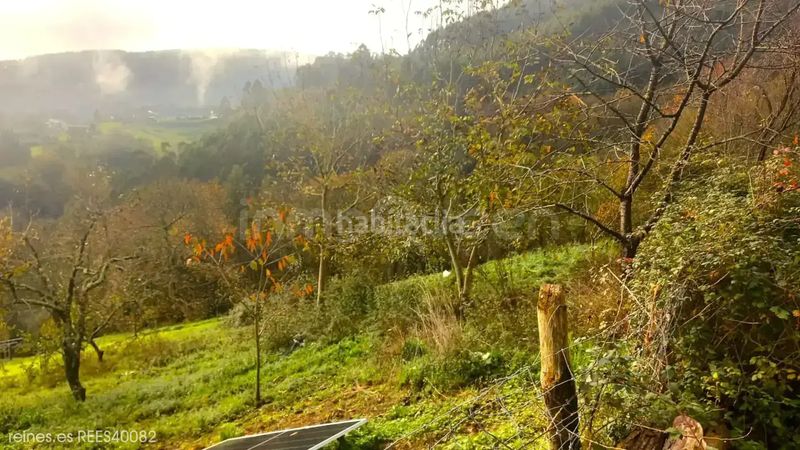 Foto 21a2d0e8-e308-40df-9bd6-88653d43f956. Casa amb calefacció aparcament a Riotorto