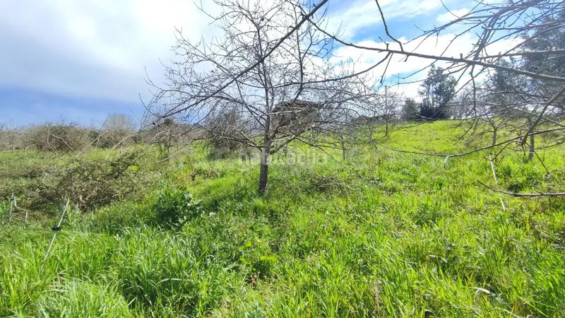 Foto 0a09b73a-3436-43b5-81e0-9399cdfa0556. Terreny residencial a Candamo