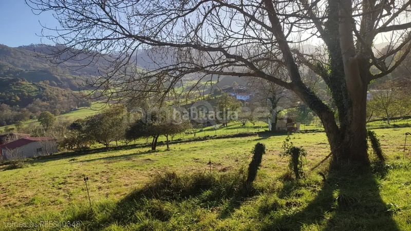 Foto 13148b63-c16f-45c9-b250-dda98e76ebff. Terreny residencial a Grado