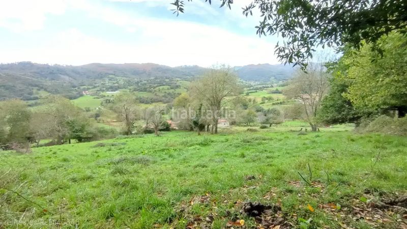 Foto 882f19e4-ab7a-4421-abf9-cba7df108fed. Terreny residencial a Grado