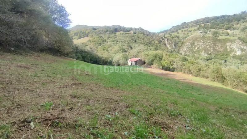 Foto 39781965-81a2-401c-901d-9a50b6137e14. Finca rústica a Grado