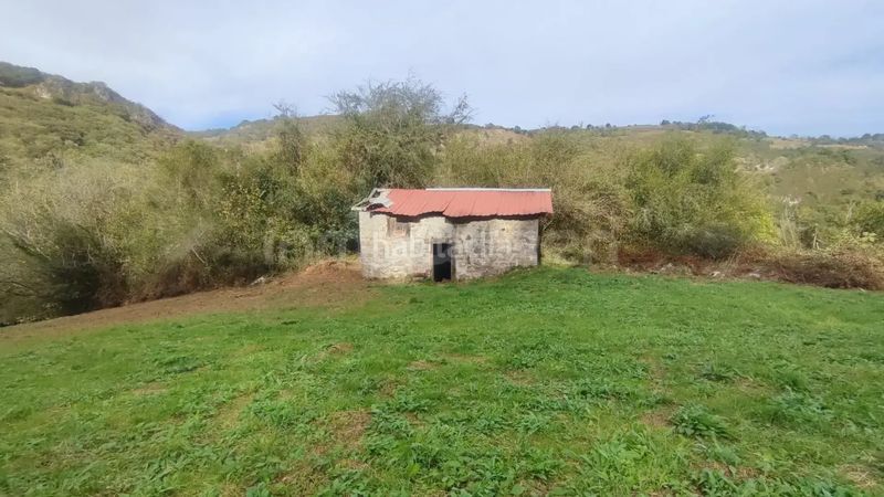 Foto 44e2ccec-a2ae-4a7b-a5df-a83865c1d897. Finca rústica a Grado