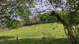 Propriété  N/a. Venta de terreno rústico en grado  rees40255