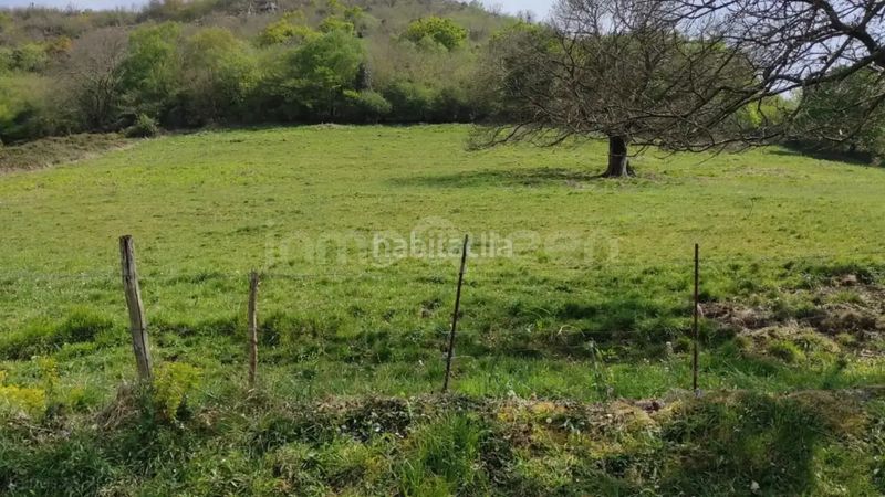 Foto a32af2dd-aabb-45c8-88f5-1856a7cc5d5f. Finca rústica a Grado