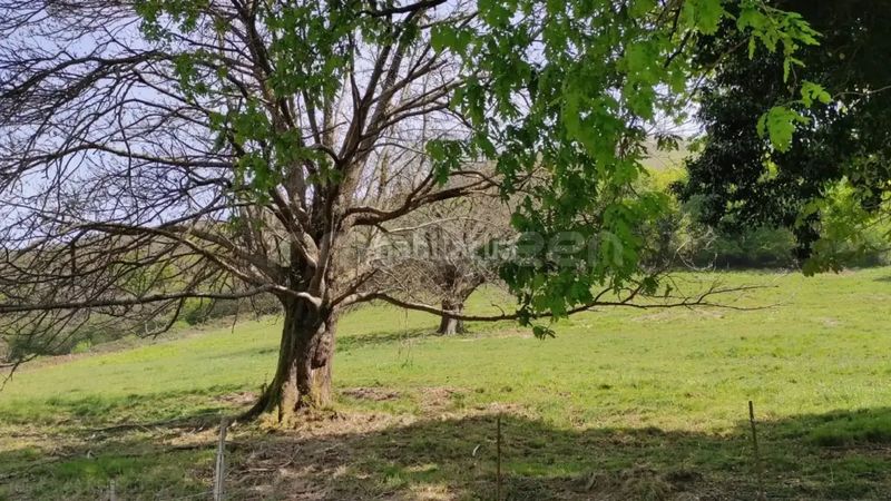 Foto aa4855a5-de3b-468a-80ff-da40330af482. Finca rústica a Grado