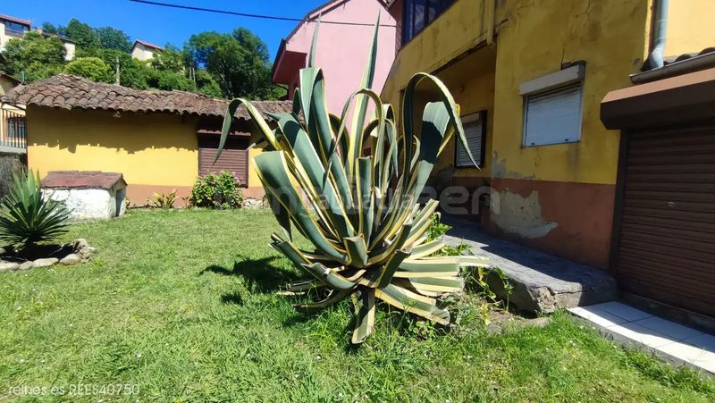 Foto b8ea5086-5a41-43b5-b024-001e2e164ac9. Casa amb aparcament a San Claudio - Trubia - Las Caldas Oviedo