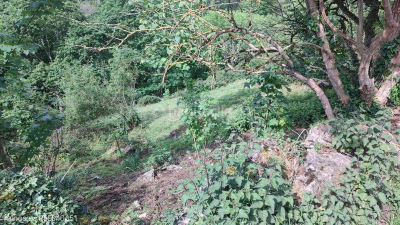Foto f4e5b7d0-96f3-4820-b331-fcacfabd0554. Finca rústica a Grado