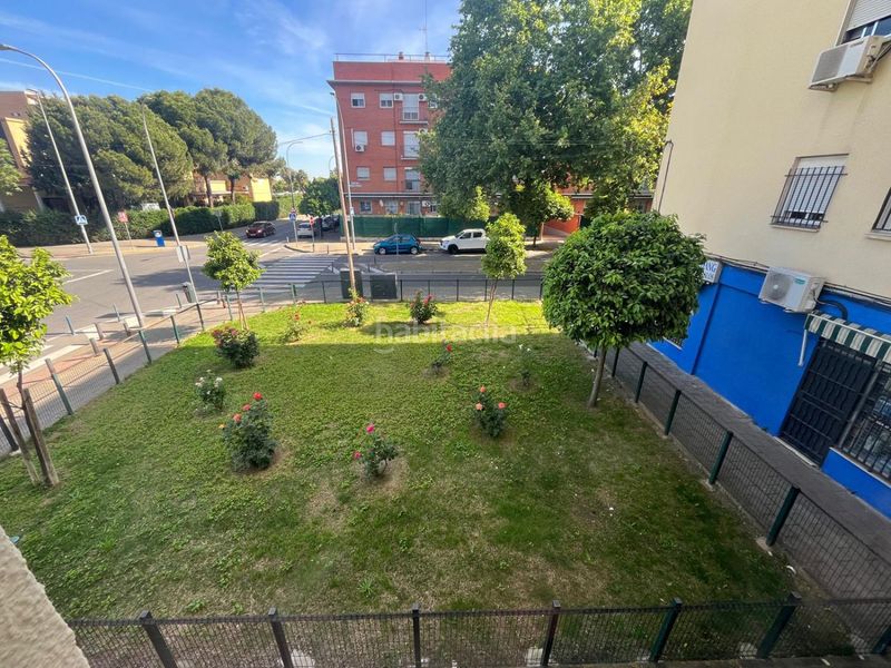 Foto c575924f-7bf1-4d2f-98f7-1e55c1658f36. Pis a Parque Alcosa Sevilla