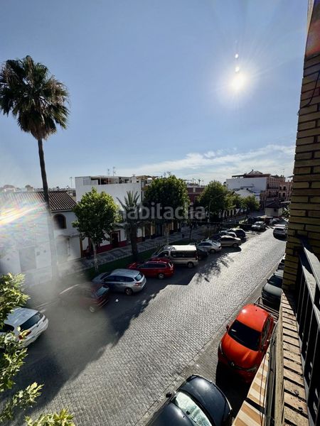 Foto 3d8e702e-4867-4340-b170-a2a4439c13fc. Pis a Brenes
