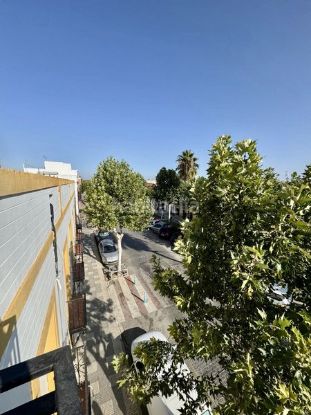 Foto d0cdf06a-735a-460d-baf9-244c530fd265. Pis a Brenes