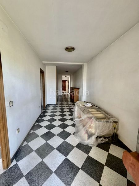 Foto fee9ea54-bdf8-485b-b531-7c461e2c2088. Pis a Brenes