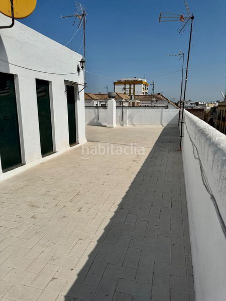 Foto 25f18e06-d8fa-4742-bb8a-1d4fe9638d89. Pis a San Vicente Sevilla