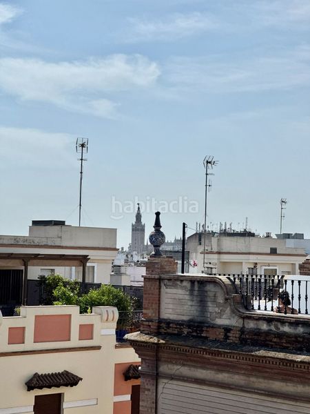 Foto bb3e22e4-cdb0-4109-9007-f64f8c77d5c1. Pis a San Vicente Sevilla
