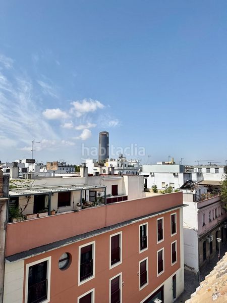 Foto f0d0b1ca-011a-4cc1-bfc8-0aaa58b83201. Pis a San Vicente Sevilla