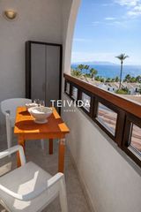 Piso  Avenida rafael puig lluvina. Piso tipo estudio en primera línea de mar con piscina climatizad