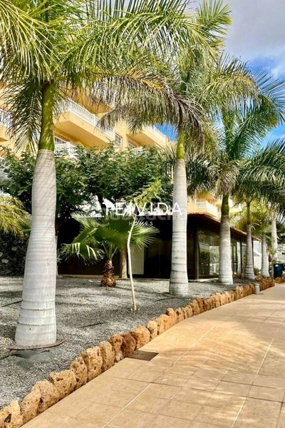 Foto bcabef16-8b34-4654-b5cd-57fe71a6b7a2. Pis amb aparcament piscina a Palm - Mar Arona