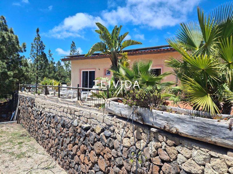 Foto c55a7ebc-1382-41c6-9e33-763b225b4a7c. Haus in Vilaflor