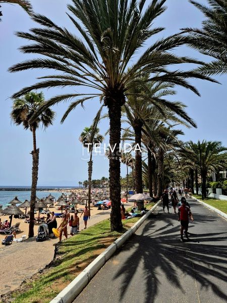 Foto 3d35ab86-6d18-45b2-a677-3009a79f85ef. Lloguer pis amb piscina a Playa de las Américas Arona