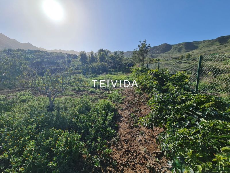 Foto 0593e56b-e2fe-487b-842d-1e98087a0261. Finca rústica a Buenavista del Norte