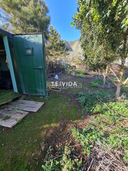 Foto 1cf73d27-d643-4abd-868a-bbbf72ec2549. Finca rústica a Buenavista del Norte