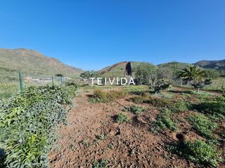 Rural plot  Carretera buenavista, 1. Terreno rústico en el palmar