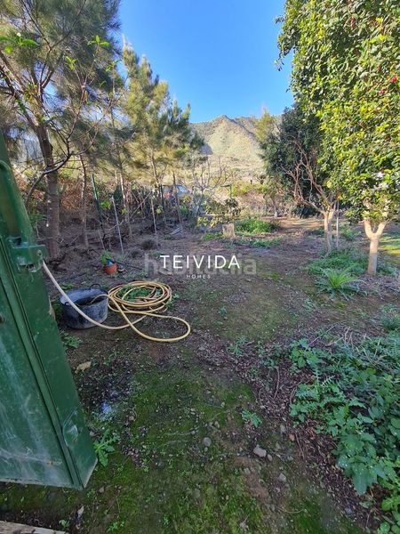 Foto aa4974b5-5445-4d35-88f6-f2d21c6d6378. Finca rústica a Buenavista del Norte