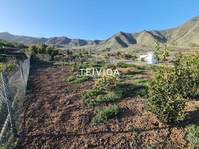 Foto e8976a25-718d-4736-8a69-a191636d610d. Finca rústica a Buenavista del Norte