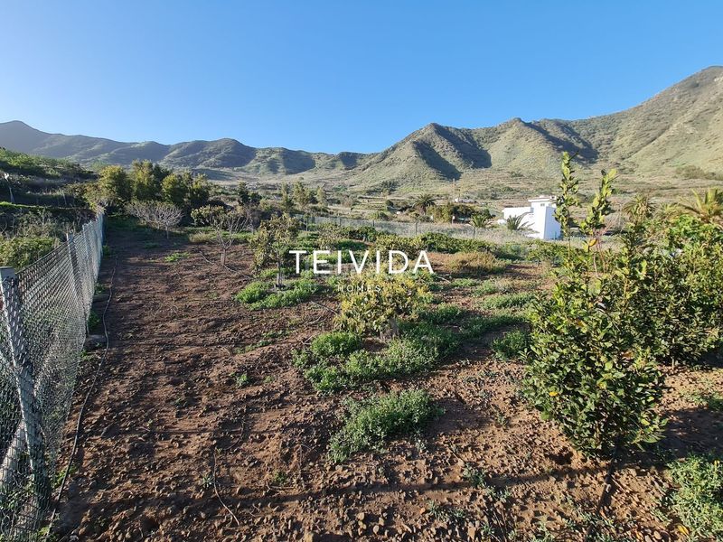 Foto f1b46342-9c54-4dee-8c55-51f5bebc8adc. Finca rústica a Buenavista del Norte