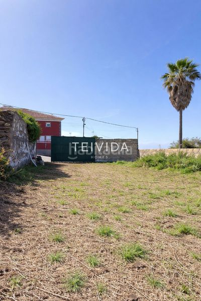 Foto 5dcb9390-6eed-4aca-81e5-31cc65bed8be. Finca rústica a Matanza de Acentejo (La)