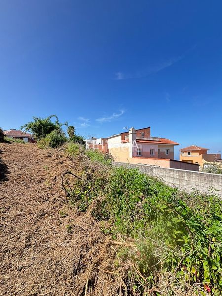 Foto d1534013-44e4-4966-bd4b-4f681372e4ab. Finca rústica a Matanza de Acentejo (La)