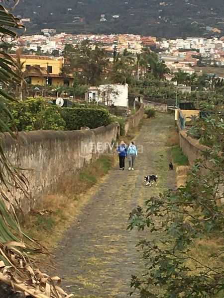 Foto 768664e6-a3b3-4bbd-973d-e3643f42d963. Lloguer casa amb aparcament piscina a Centro Orotava (La)