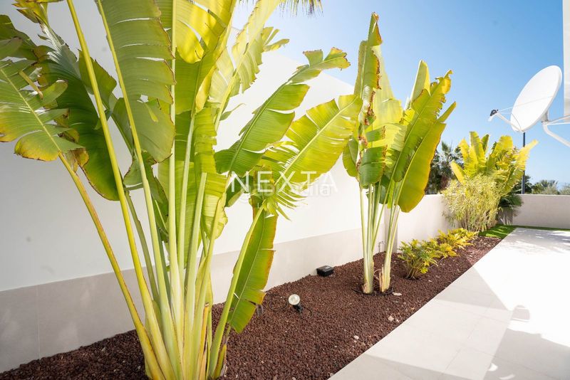 Foto 3accd148-0419-4621-84de-07af280732ea. Xalet amb aparcament piscina a Abama Guía de Isora