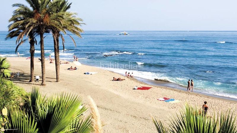 Foto 4888d934-c35d-44a8-8e5d-85ea95ae53fb. Estudi a avenida del parque 3 a Parque de la Paloma Benalmádena