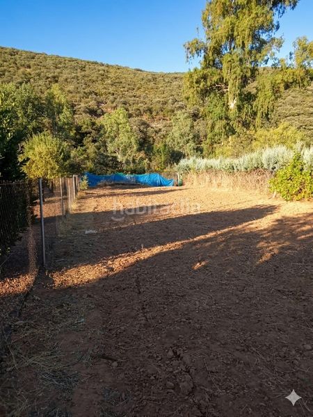 Foto b1d70538-4d68-4385-823f-c4c09724f95f. Casa amb calefacció aparcament piscina a Piedrabuena