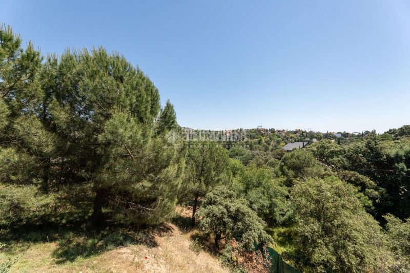 Foto 74f36379-0f0d-49ca-9a4b-4e86082930db. Maison avec chauffage parking dans El Peñalar - Arroyo de Trofas - Montealegre Torrelodones