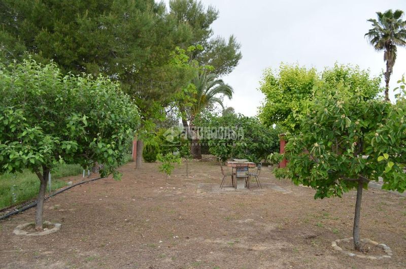 Foto bba0048b-0eb1-4a21-aae0-65c532d50463. Masia amb piscina a Marmolejo