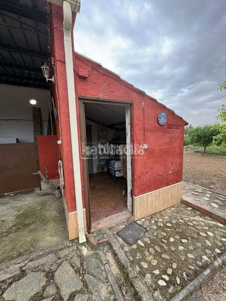 Foto efe02197-b318-43a1-8d65-a50f4aa790e2. Masia amb piscina a Marmolejo