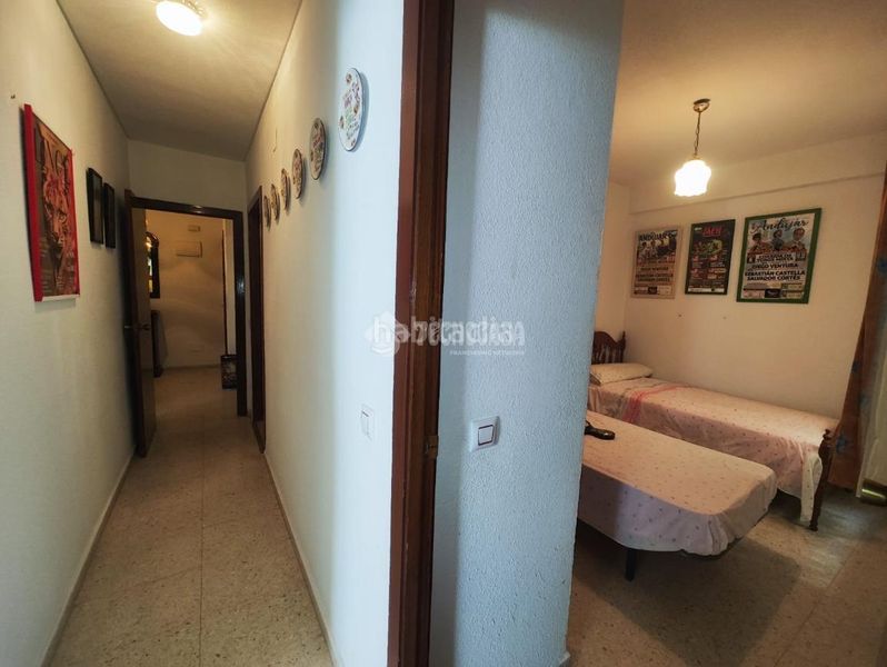 Foto e6a72724-9ed2-44e7-8188-61d48015ba56. Pis a Andújar