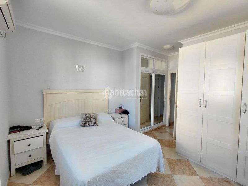 Foto 0ef49ffb-b32a-4419-a1d2-1fb74711501f. Pis a Palmete Sevilla