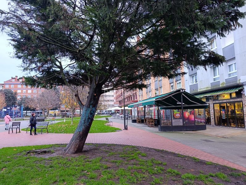 Foto e39d7d54-bd3b-4b04-8690-79cad03e8614. Pis a calle custodia 14 a Llano Gijón