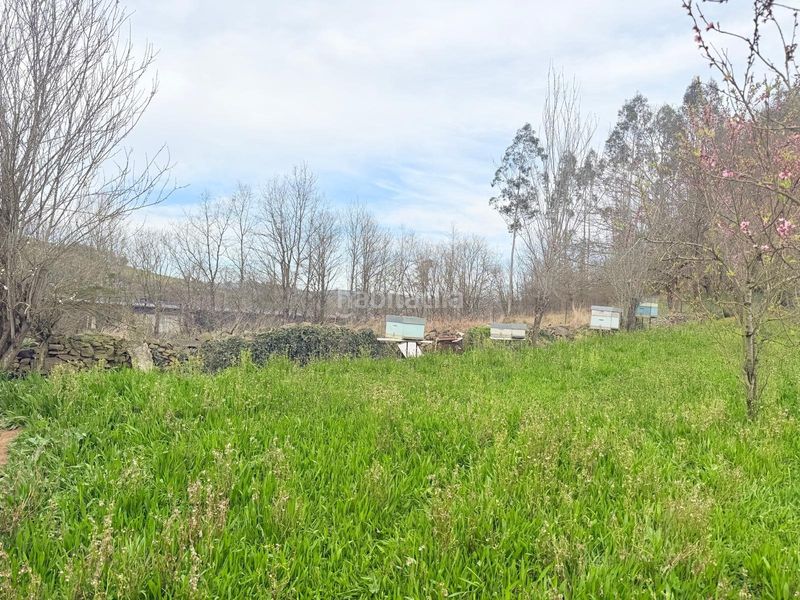 Foto 5f28ed08-c03a-4890-9b24-9df817d13220. Casa a nora 28 a Regueras (Las)