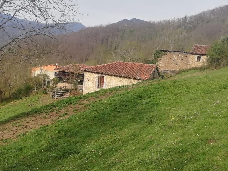Foto 67090fc3-9fb3-40e8-864a-9de652786e15. Country house in calle murias 7 in Teverga